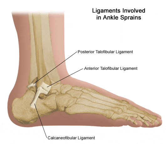 Ankle Pain Causes