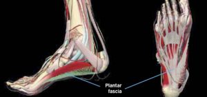 Hoka Shoes for Plantar Fasciitis (May-2022) - Best Shoes Reviews