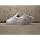 adidas Originals Men's Superstar Sneaker, White/Black/White, 9
